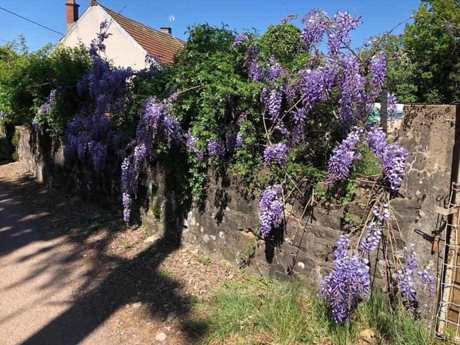 La Petite Maison D'Orphee Marmagne  Buitenkant foto